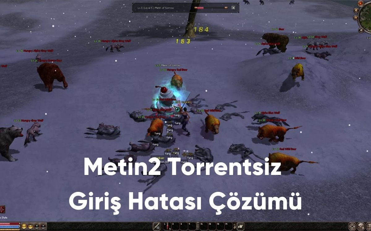 Metin2 Torrentsiz Giriş Hatası Çözümü